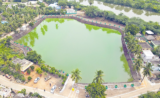 POND-2.jpg