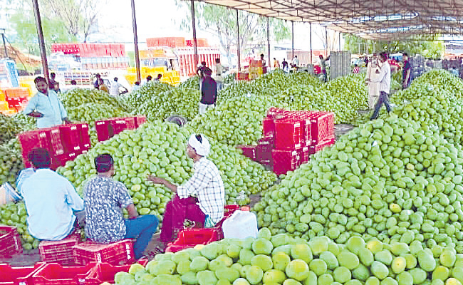 The_20Import_20Of_20Mangoes_20To_20The_20Market_20Increased_20At_20Once_01.jpg