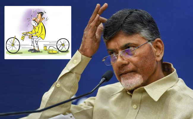 tdp.jpg