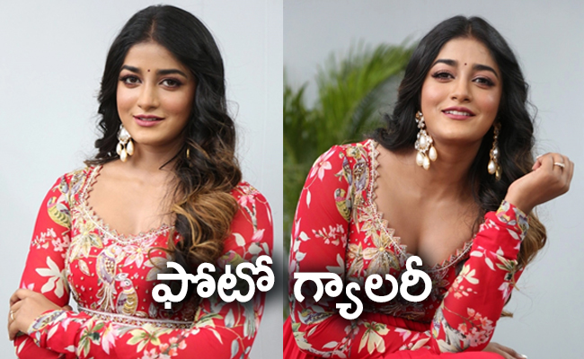 Dimple_20Hayathi_01.jpg