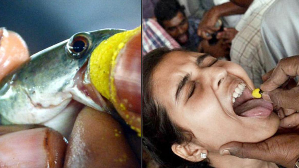 Fish_20Prasadam.jpg