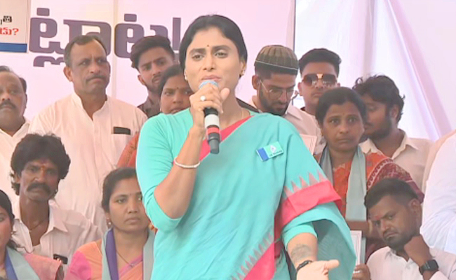sharmila.jpg