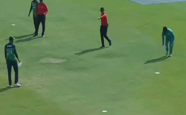 umpire.jpg