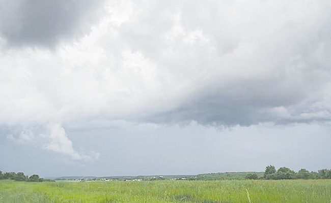 BACTERIA-CLOUD.jpg