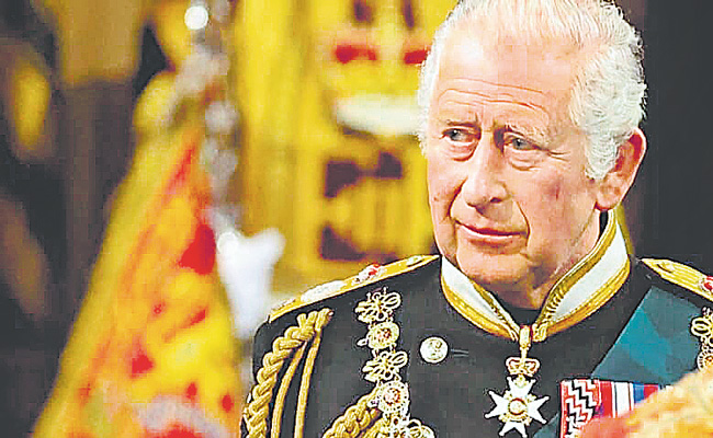 KING1.jpg