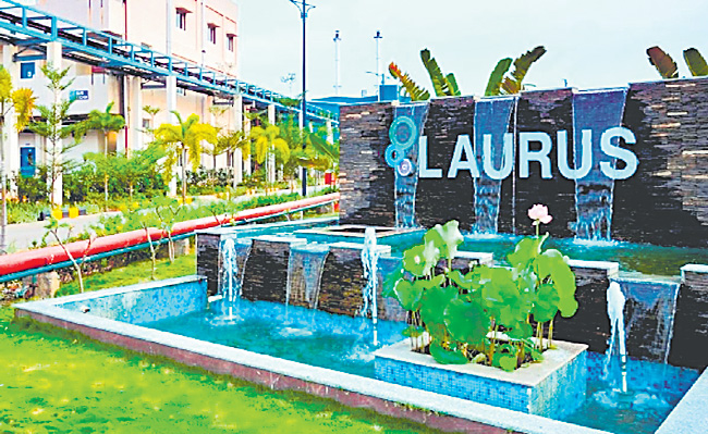 LAURUS.jpg