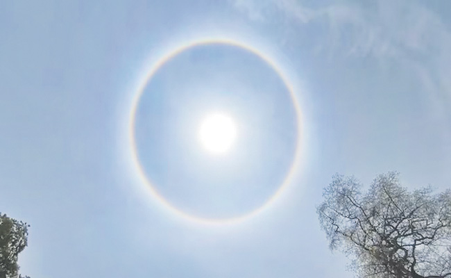 SUN-HALO.jpg