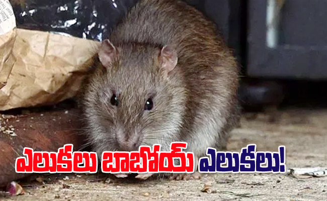 109.jpg