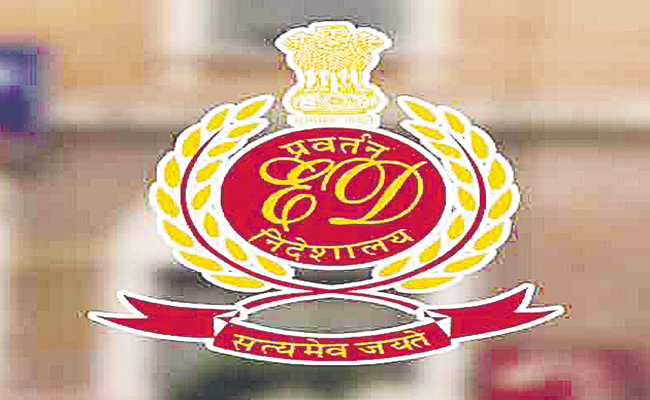 ED-LOGO-1.jpg