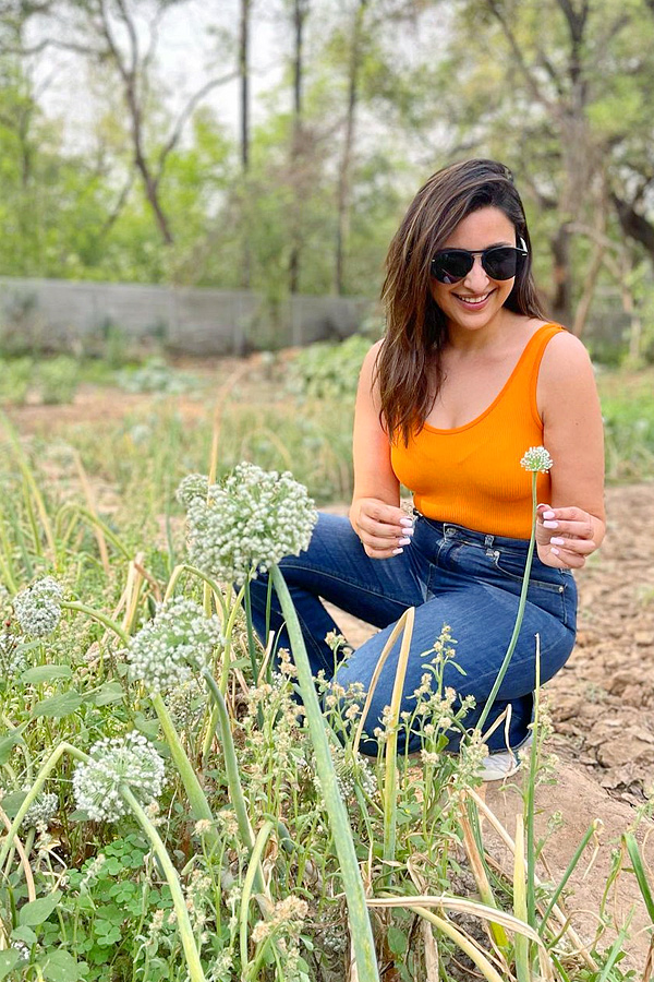 parineeti_20chopra_20Latest_20Photos_11.jpg 12