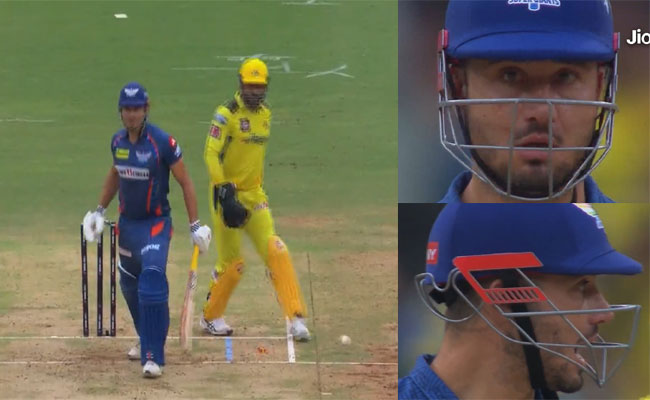 stoinis.jpg