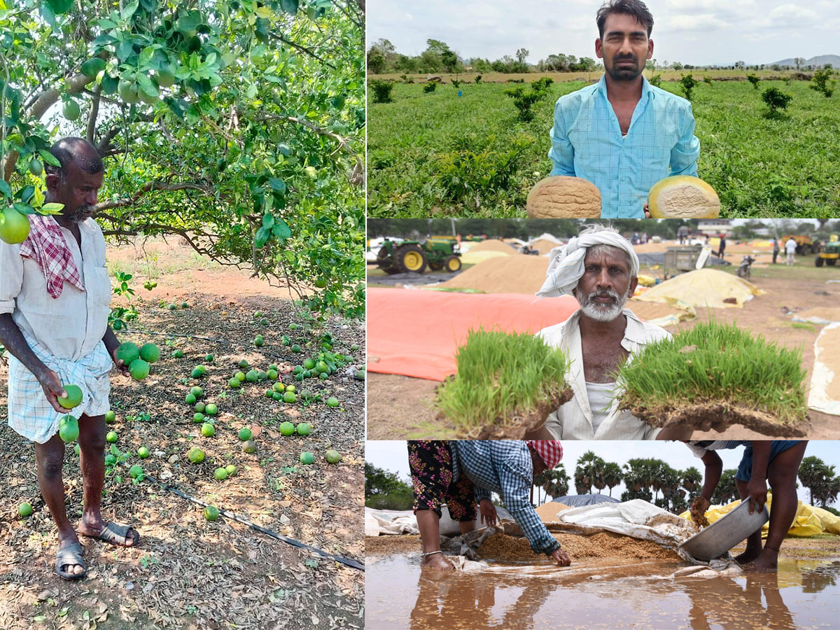Farmers_20Facing_20Problems_20With_20Sudden_20Rains-1.jpg 1