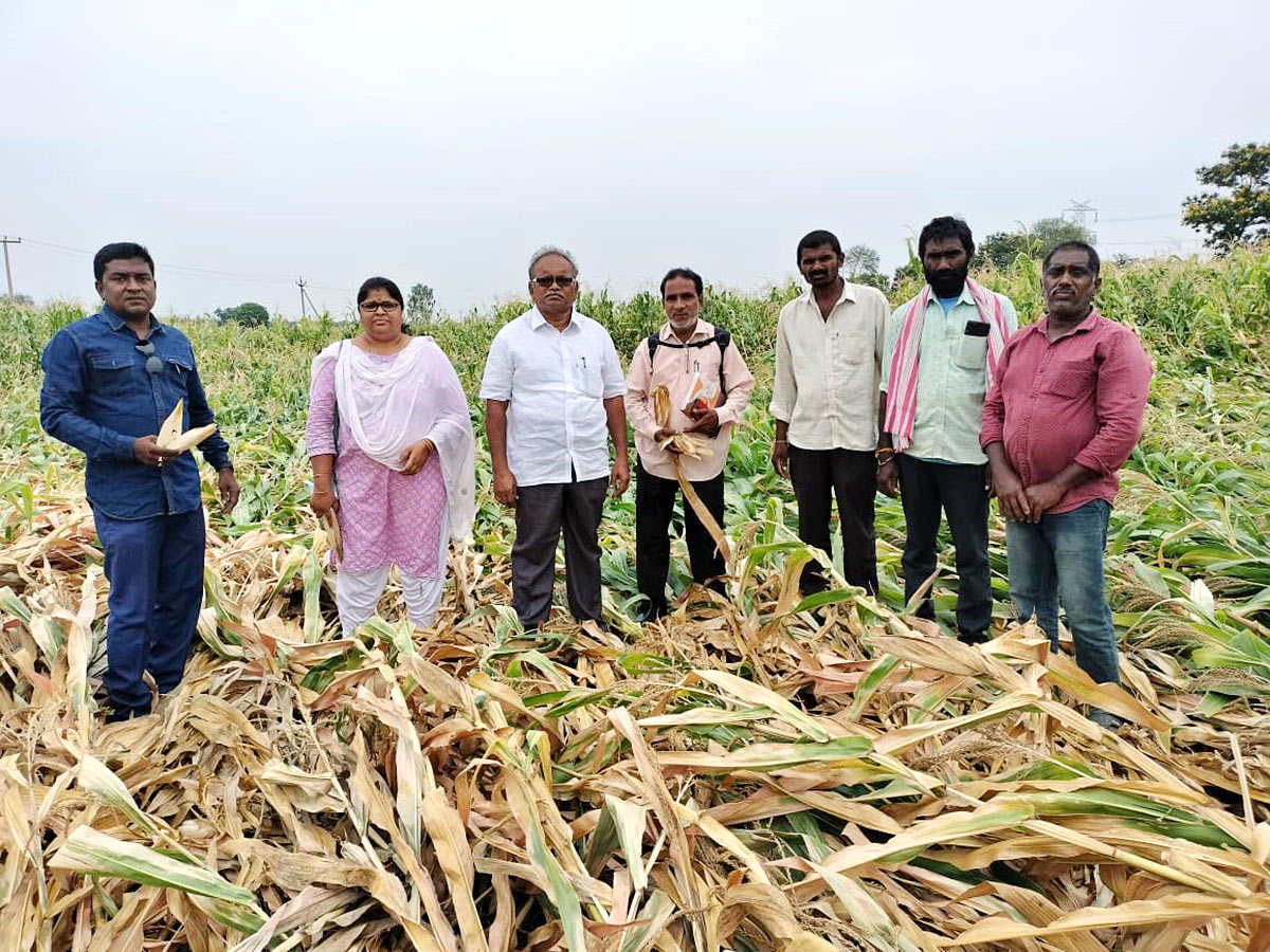 Farmers_20Facing_20Problems_20With_20Sudden_20Rains-11.jpg 11