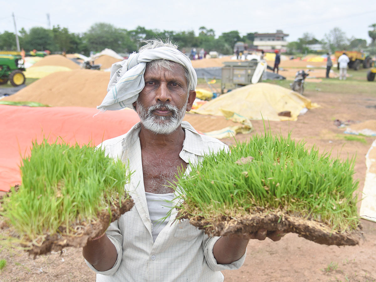 Farmers_20Facing_20Problems_20With_20Sudden_20Rains-17.jpg 16