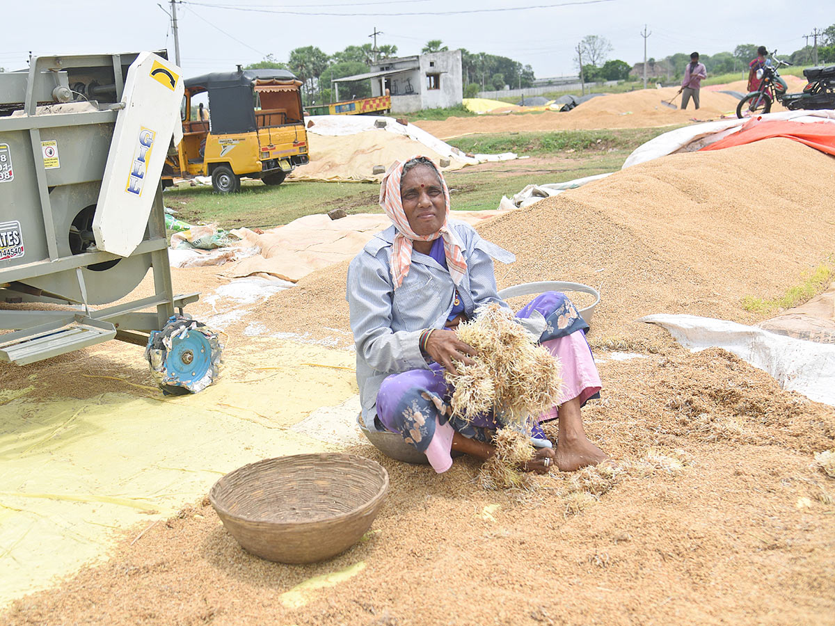 Farmers_20Facing_20Problems_20With_20Sudden_20Rains-18.jpg 17