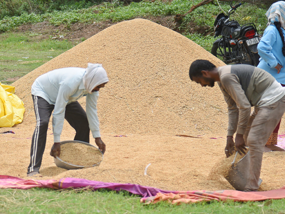 Farmers_20Facing_20Problems_20With_20Sudden_20Rains-19.jpg 18