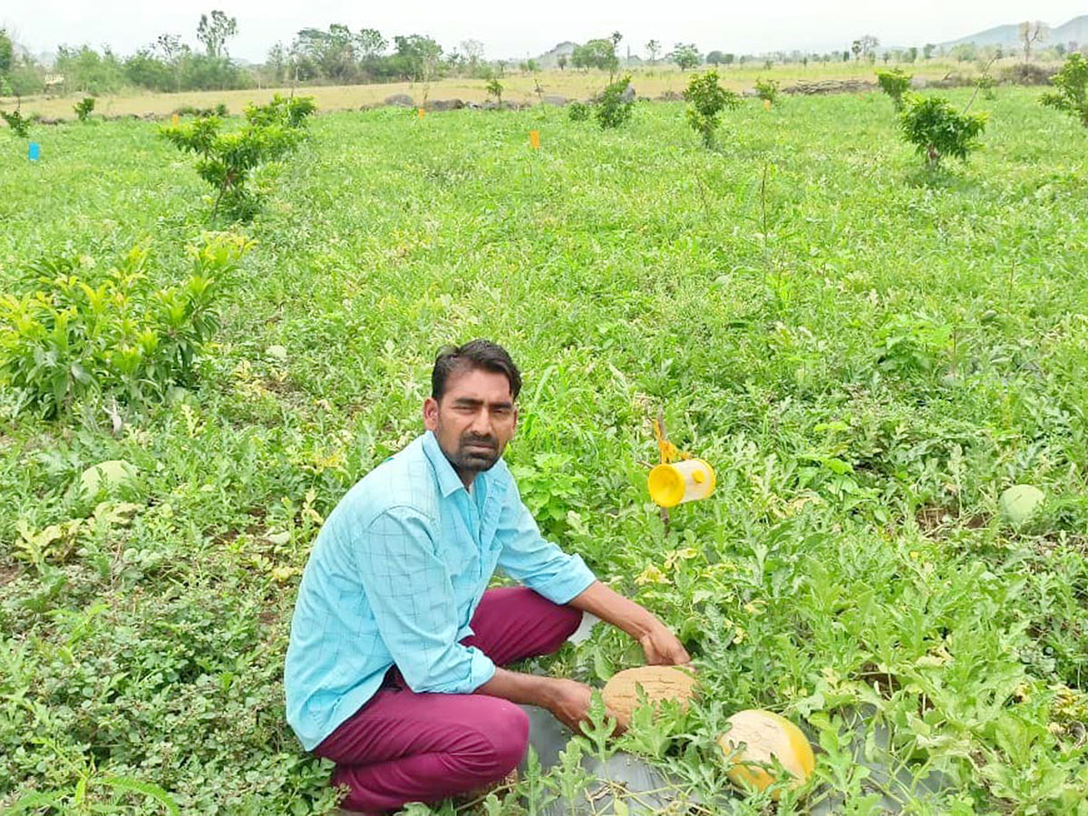 Farmers_20Facing_20Problems_20With_20Sudden_20Rains-22.jpg 21