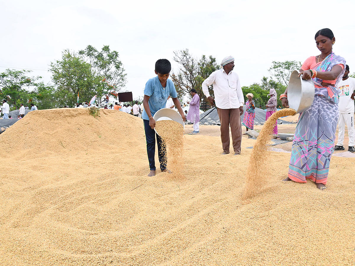 Farmers_20Facing_20Problems_20With_20Sudden_20Rains-23.jpg 22