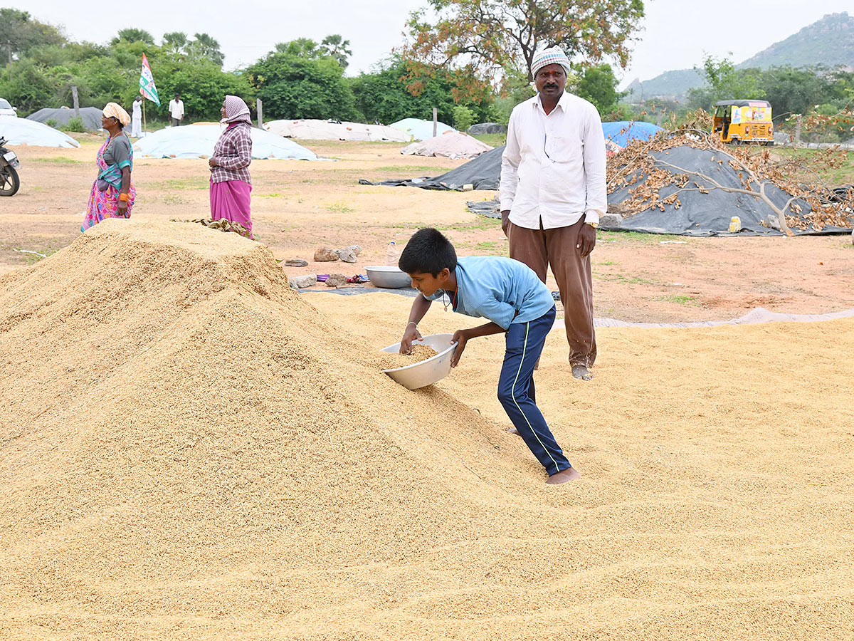 Farmers_20Facing_20Problems_20With_20Sudden_20Rains-24.jpg 23