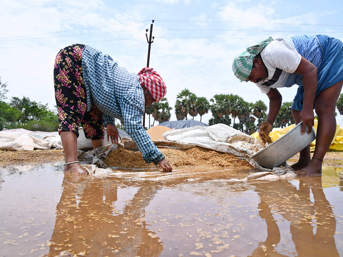 Farmers_20Facing_20Problems_20With_20Sudden_20Rains-3.jpg 3