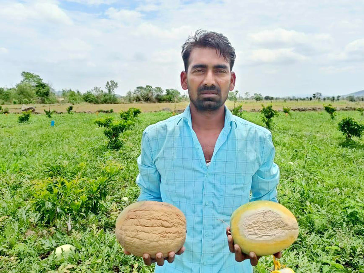 Farmers_20Facing_20Problems_20With_20Sudden_20Rains-5.jpg 5