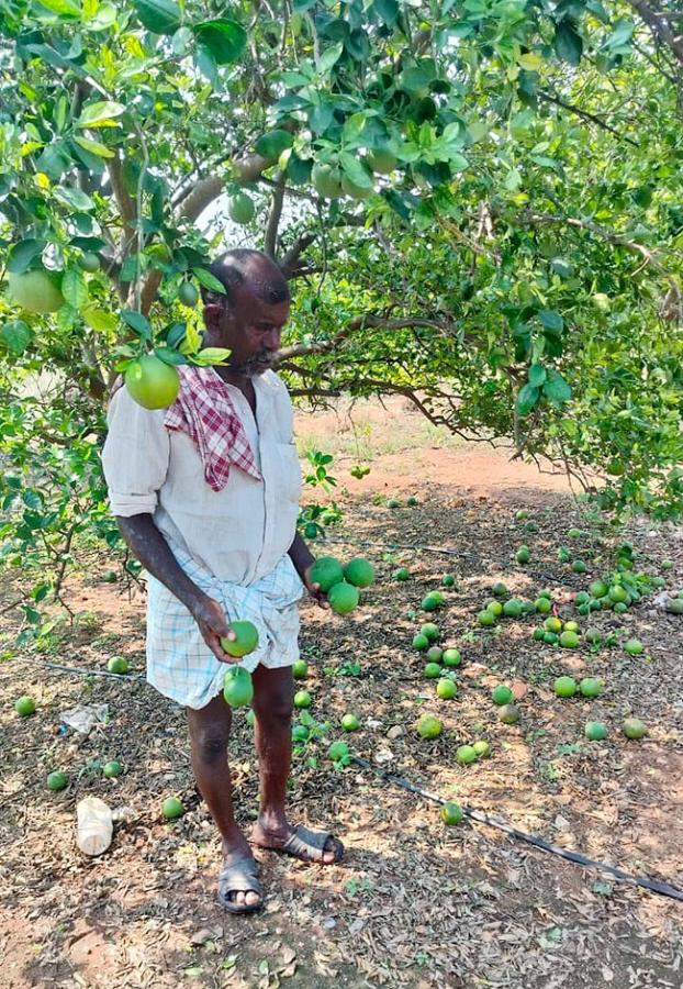 Farmers_20Facing_20Problems_20With_20Sudden_20Rains-7.jpg 7