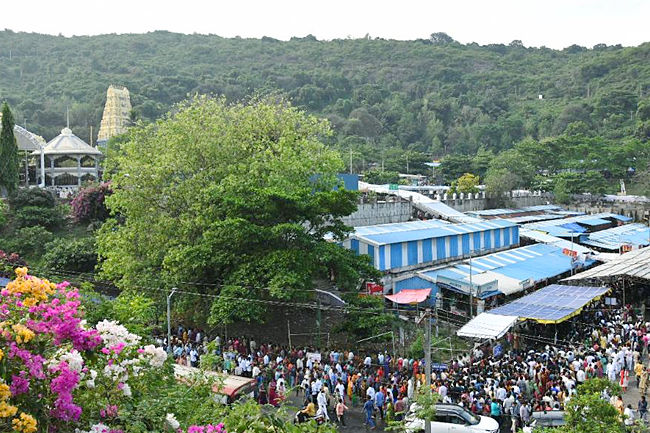 Simhachalam_20Chandanotsavam_202023_20Photos_14.jpg 15