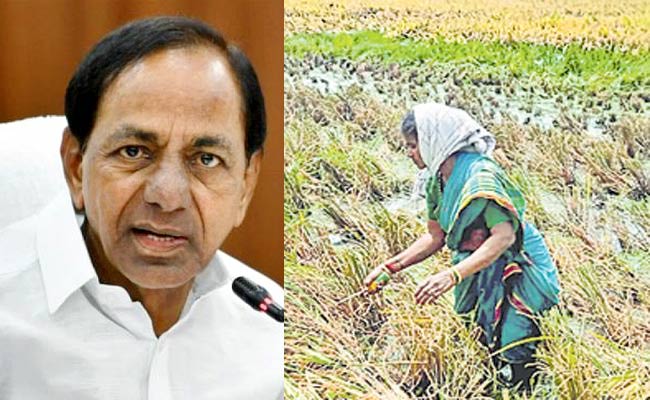 kcr.jpg01.jpg