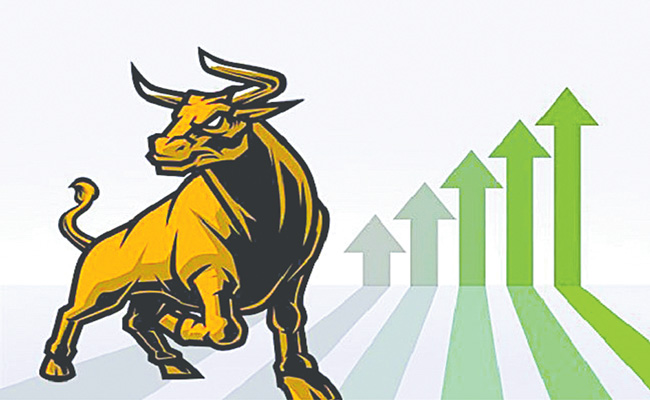 BULL-IS-BACK.jpg