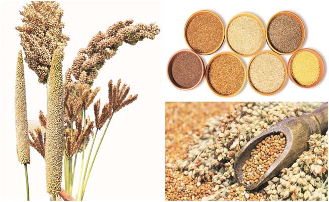 millets.jpg