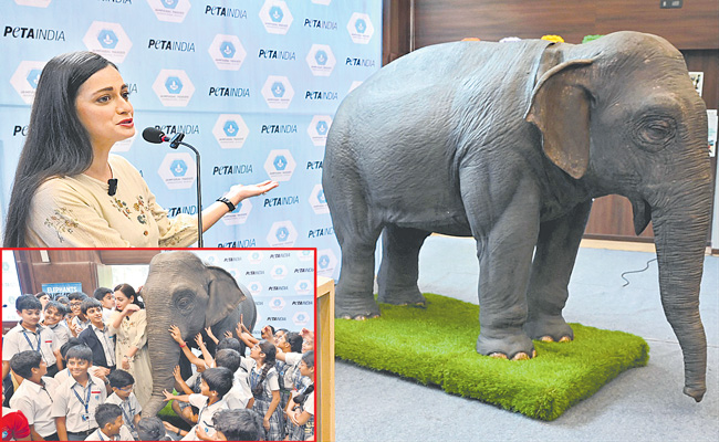 elephant-1.jpg