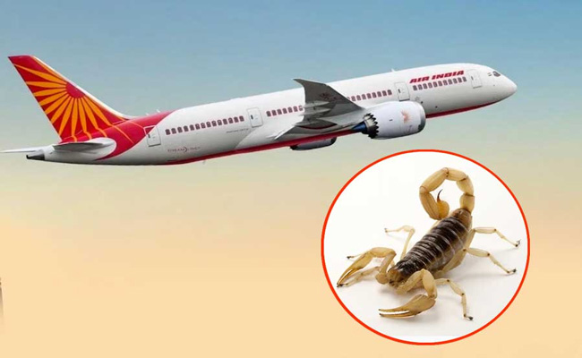 air-india.jpg