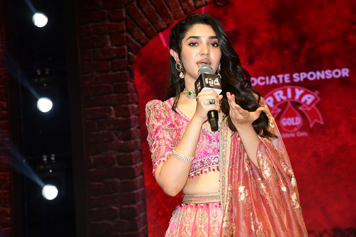 Naga_20Chaitanya_20Custody_20Pre_20Release_20Event_20Photos-3.jpg 3