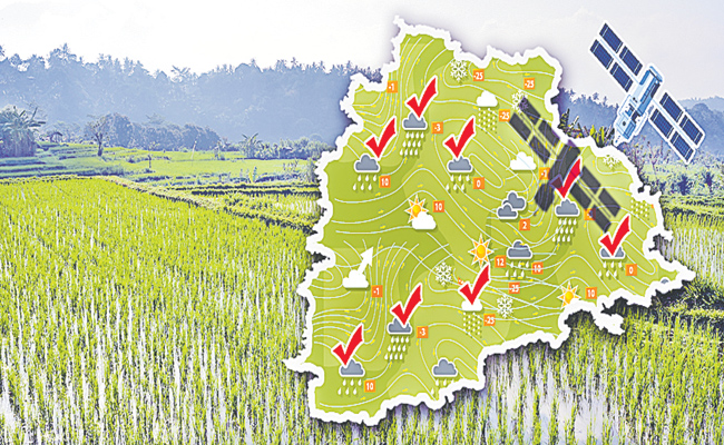 PADDY-FIELDS-VADAGALLU.jpg