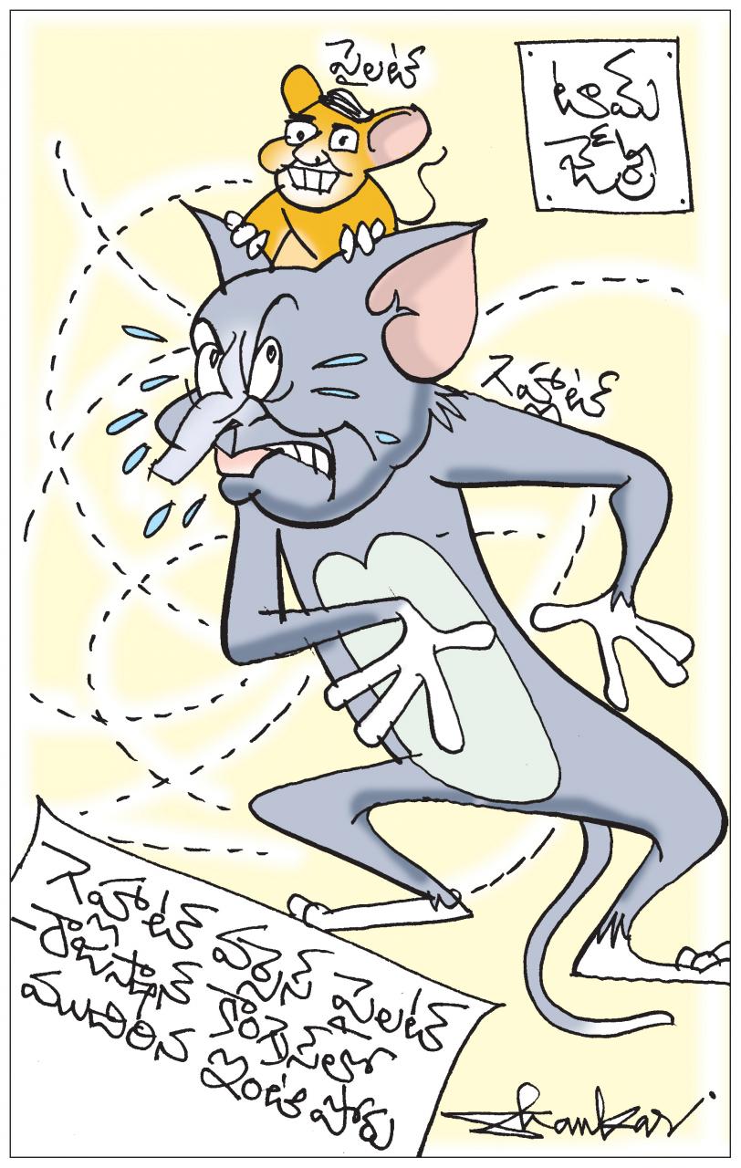 Sachin-Pilot-Vs-Ashok-Gehlo.jpg
