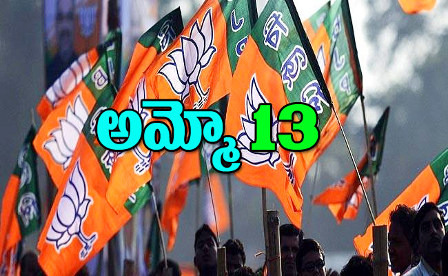 BJP-flags12.jpg