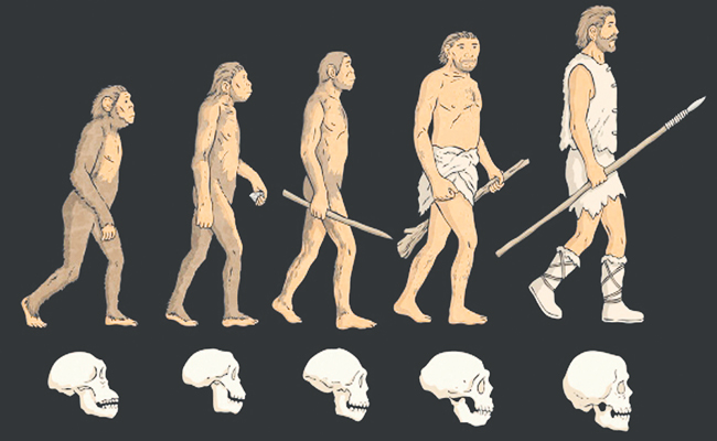 human.jpg