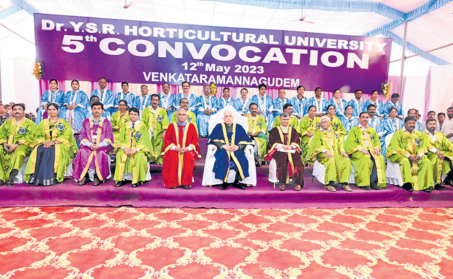 ysr.jpg