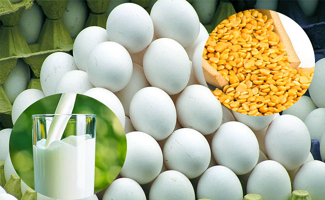 Milk-Eggs-Pulses-Tenders.jpg