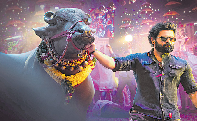 RAM-POTHINENI.jpg