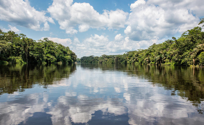 congo-basin-central-africa.jpg 10
