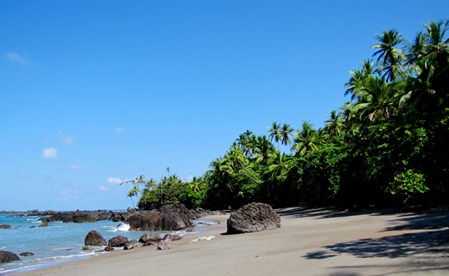 corcovado-national-park-costa-rica.jpg 3