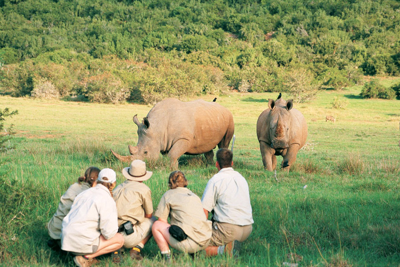 7Rhino_20trekking_20_E2_80_93_20Namibia.jpg 8