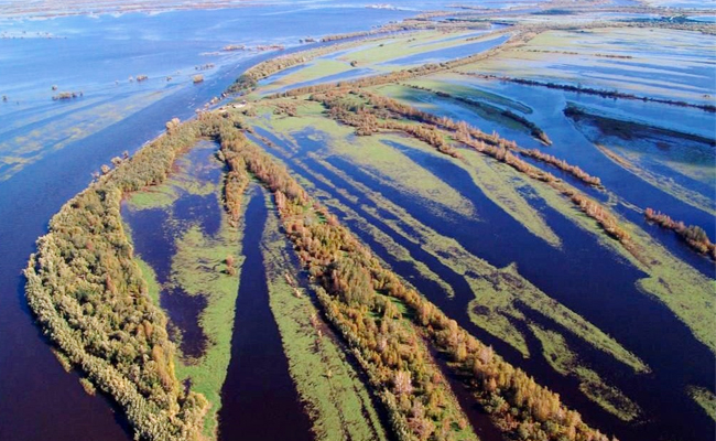 Ob_20River_20-_20Russia.jpg 8