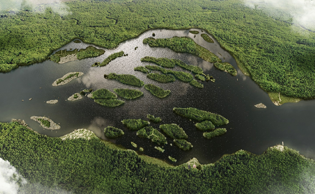 The_20Congo_20river_20-_20Africa.jpg 10