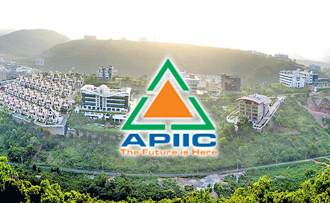 apiic.jpg