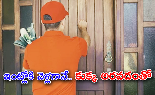 delivery-boy-door-knocked-01.jpg
