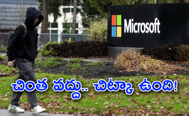 microsoft-01.jpg