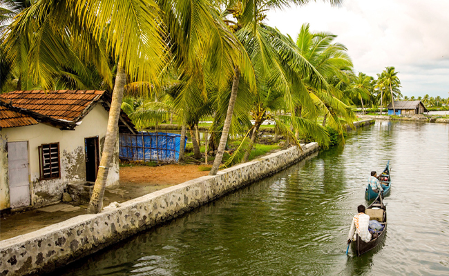 10._20Kuttanad_20in_20Kerala.jpg 11