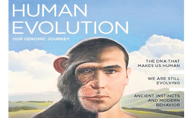HUMAN-EVOLUTION-L.jpg
